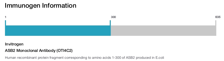ASB2 Monoclonal Antibody (OTI4C2)