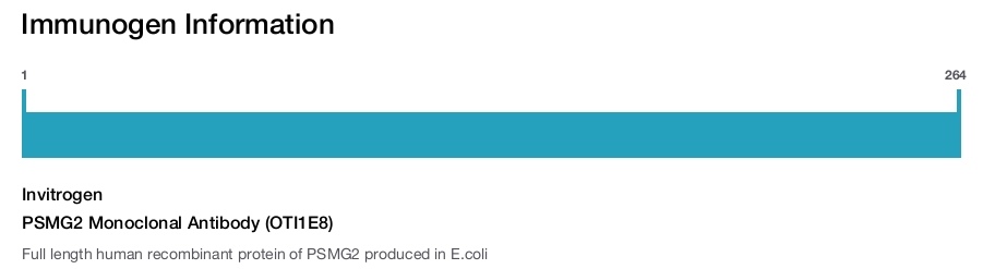 PSMG2 Monoclonal Antibody (OTI1E8)