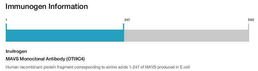 MAVS Monoclonal Antibody (OTI9C4)