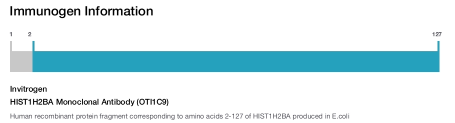 HIST1H2BA Monoclonal Antibody (OTI1C9)