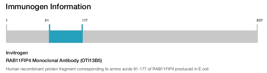 RAB11FIP4 Monoclonal Antibody (OTI13B5)