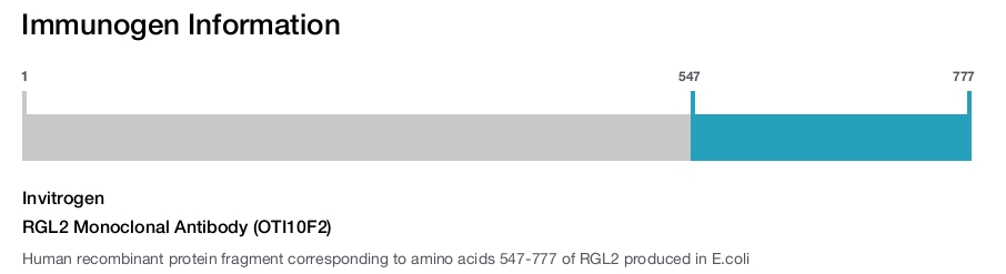 RGL2 Monoclonal Antibody (OTI10F2)