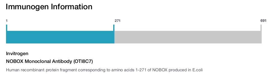 NOBOX Monoclonal Antibody (OTI8C7)