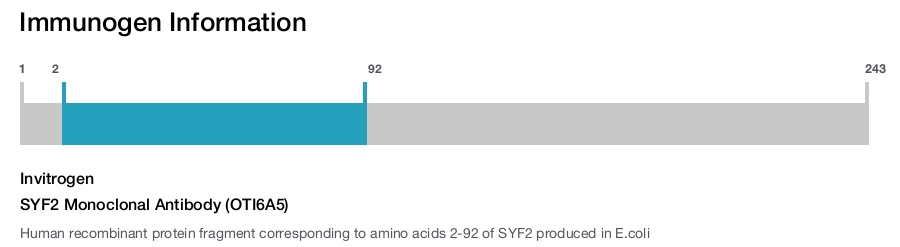 SYF2 Monoclonal Antibody (OTI6A5)
