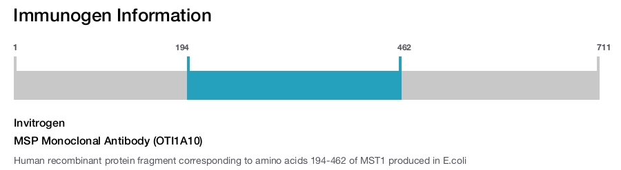 MSP Monoclonal Antibody (OTI1A10)