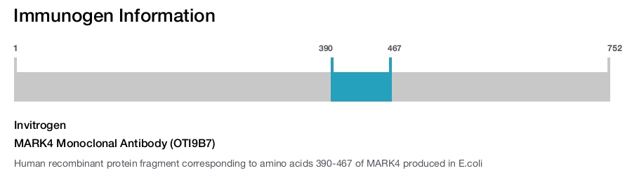 MARK4 Monoclonal Antibody (OTI9B7)