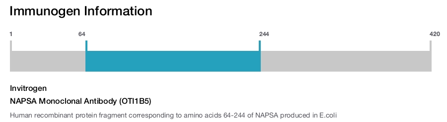 NAPSA Monoclonal Antibody (OTI1B5)