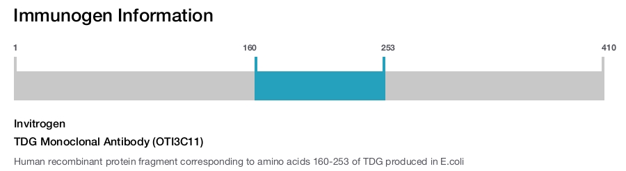 TDG Monoclonal Antibody (OTI3C11)