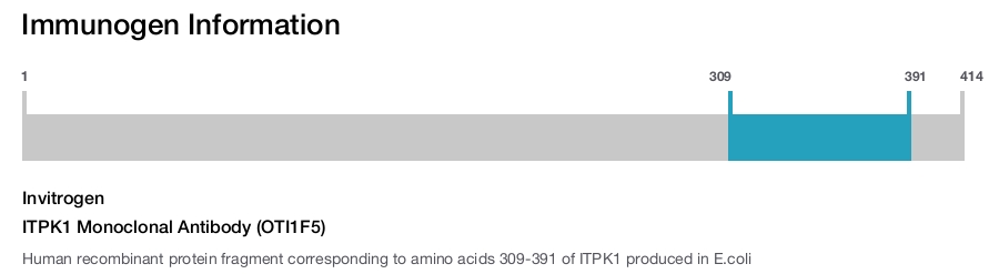 ITPK1 Monoclonal Antibody (OTI1F5)