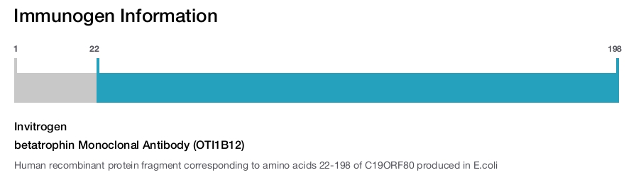 betatrophin Monoclonal Antibody (OTI1B12)