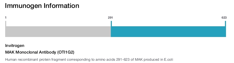 MAK Monoclonal Antibody (OTI1G2)
