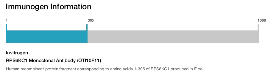RPS6KC1 Monoclonal Antibody (OTI10F11)