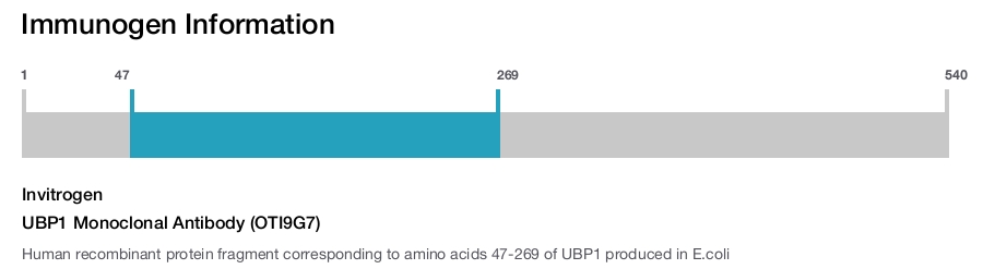 UBP1 Monoclonal Antibody (OTI9G7)