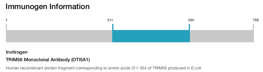 TRIM56 Monoclonal Antibody (OTI5A1)