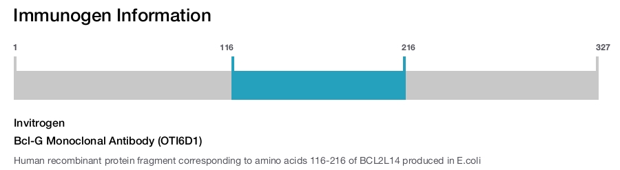 Bcl-G Monoclonal Antibody (OTI6D1)