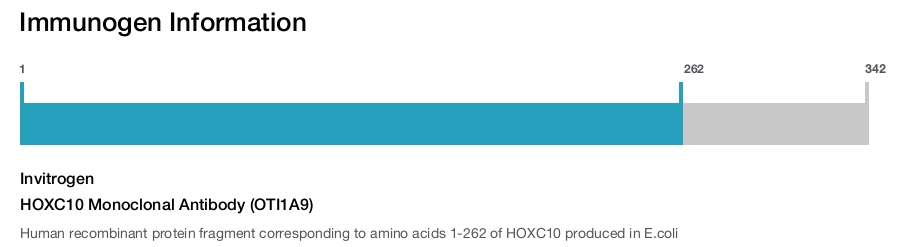 HOXC10 Monoclonal Antibody (OTI1A9)