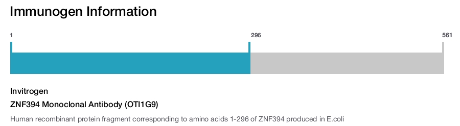 ZNF394 Monoclonal Antibody (OTI1G9)
