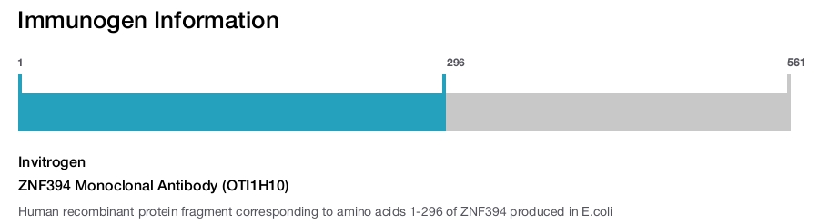 ZNF394 Monoclonal Antibody (OTI1H10)