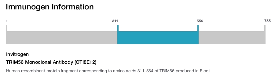 TRIM56 Monoclonal Antibody (OTI8E12)