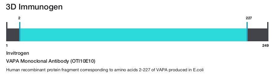 VAPA Monoclonal Antibody (OTI10E10)