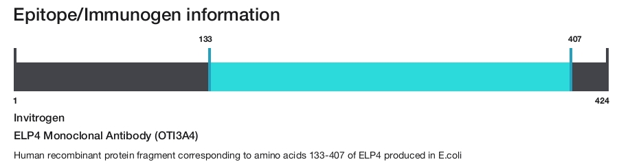 ELP4 Monoclonal Antibody (OTI3A4)