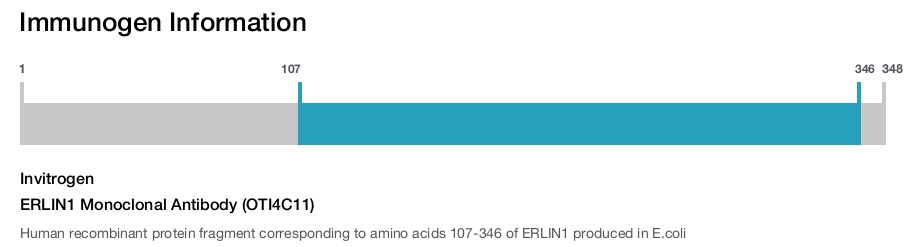 ERLIN1 Monoclonal Antibody (OTI4C11)