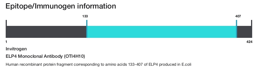ELP4 Monoclonal Antibody (OTI4H10)
