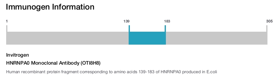 HNRNPA0 Monoclonal Antibody (OTI8H8)