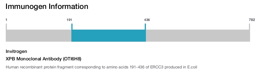XPB Monoclonal Antibody (OTI6H8)