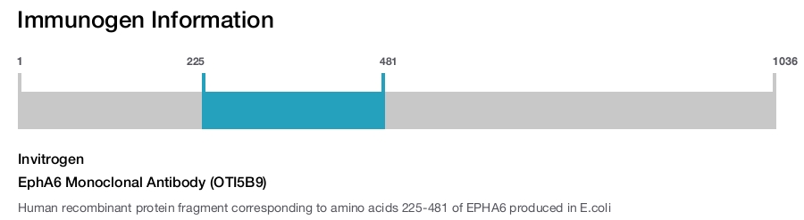 EphA6 Monoclonal Antibody (OTI5B9)