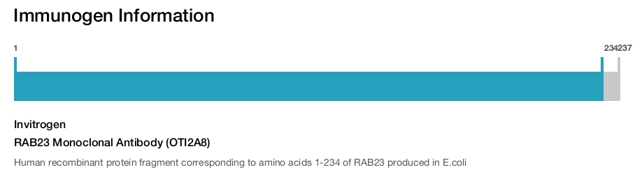RAB23 Monoclonal Antibody (OTI2A8)