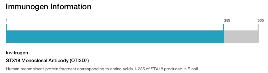STX18 Monoclonal Antibody (OTI3D7)