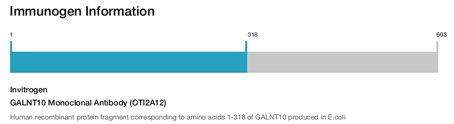 GALNT10 Monoclonal Antibody (OTI2A12)