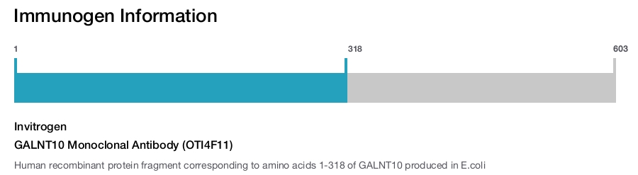 GALNT10 Monoclonal Antibody (OTI4F11)