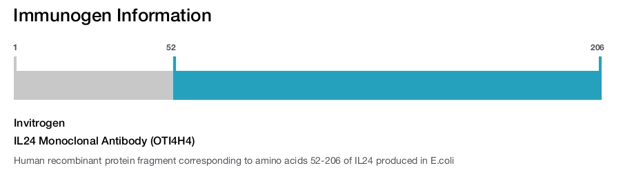IL24 Monoclonal Antibody (OTI4H4)
