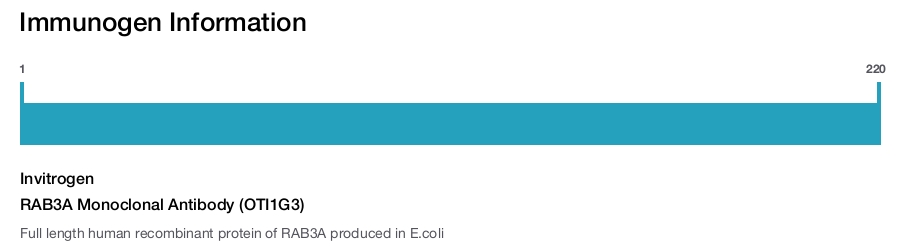 RAB3A Monoclonal Antibody (OTI1G3)