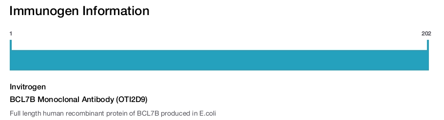 BCL7B Monoclonal Antibody (OTI2D9)