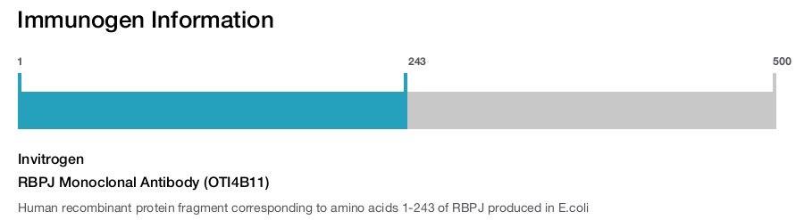RBPJ Monoclonal Antibody (OTI4B11)