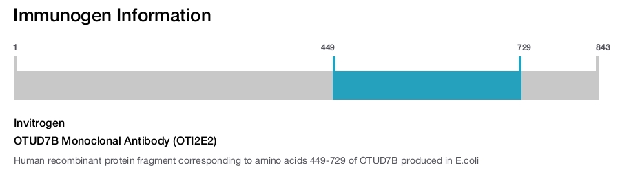 OTUD7B Monoclonal Antibody (OTI2E2)