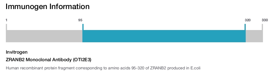 ZRANB2 Monoclonal Antibody (OTI2E3)