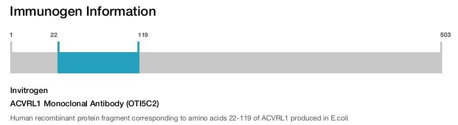 ACVRL1 Monoclonal Antibody (OTI5C2)