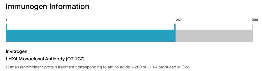 LHX4 Monoclonal Antibody (OTI1C7)