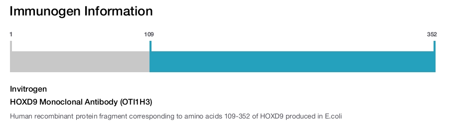 HOXD9 Monoclonal Antibody (OTI1H3)