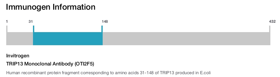 TRIP13 Monoclonal Antibody (OTI2F5)