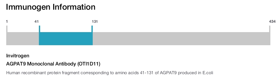 AGPAT9 Monoclonal Antibody (OTI1D11)