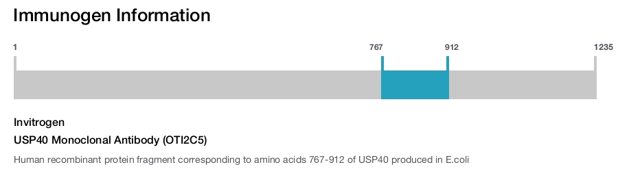 USP40 Monoclonal Antibody (OTI2C5)