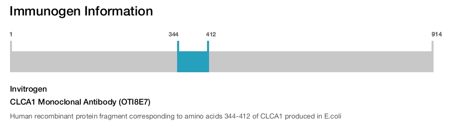 CLCA1 Monoclonal Antibody (OTI8E7)