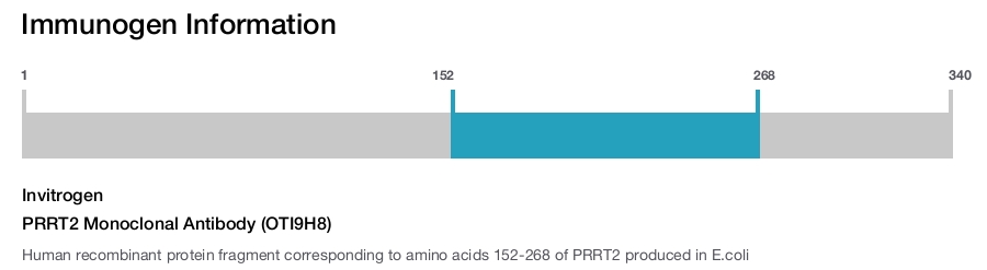 PRRT2 Monoclonal Antibody (OTI9H8)