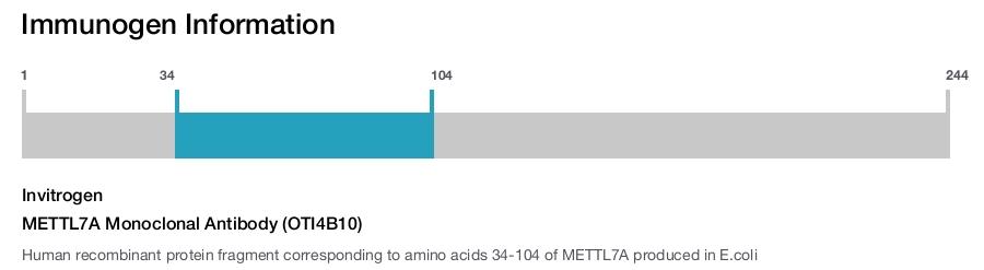 METTL7A Monoclonal Antibody (OTI4B10)
