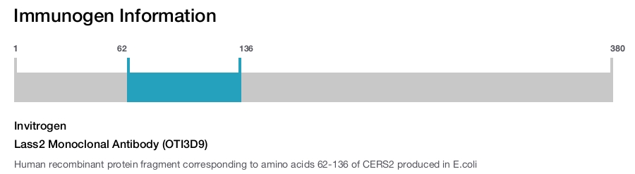 Lass2 Monoclonal Antibody (OTI3D9)